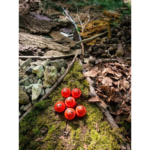 Ganzheitliche Förderung und Resilienz durch Naturerlebnisse