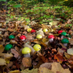Waldmusikpädagogik Konzept von Klangbunt