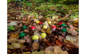 Waldmusikpädagogik Konzept von Klangbunt