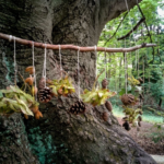 Musikalische Früherziehung im Wald mit Naturmaterialien
