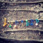 Waldmusikpädagogik Konzept von Klangbunt: Musizieren mit Naturmaterialien