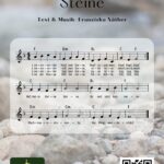 Freie Lieder von Klangbunt - Noten für das Lied: "Steine" von Franziska Näther, Klangbunt Kinderwaldmusik Musikschule Göttingen